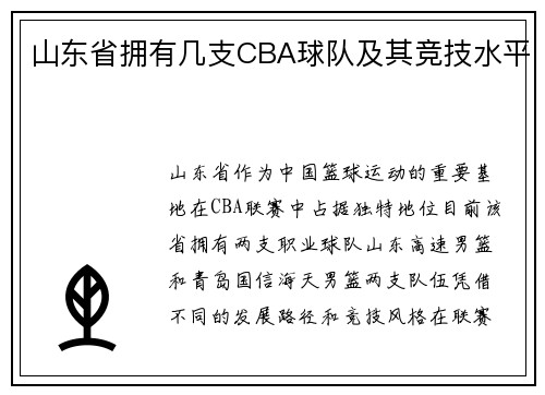 山东省拥有几支CBA球队及其竞技水平